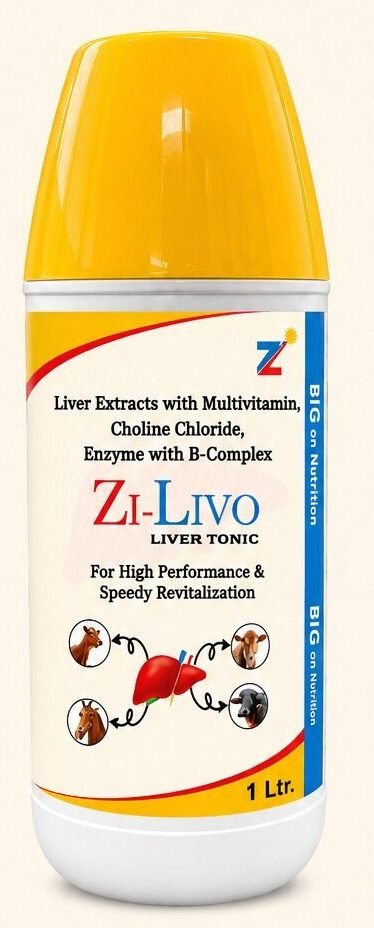 Zi-Liv