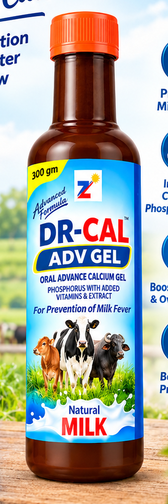 Dr-Cal